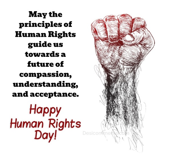 May The Principles Of Human Rights