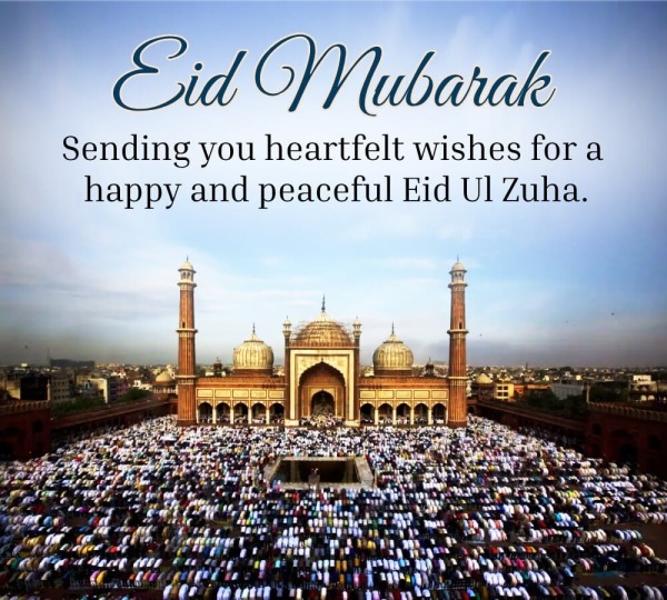 Happy And Peaceful Eid Ul Zuha.