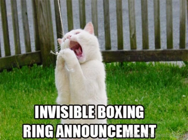 Invisible Boxing Ring Announcement