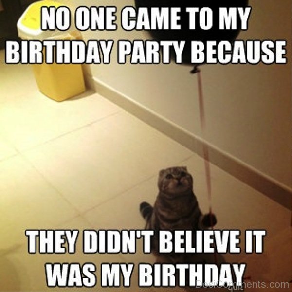 100 Great Party Memes - Funny Pictures – DesiComments.com
