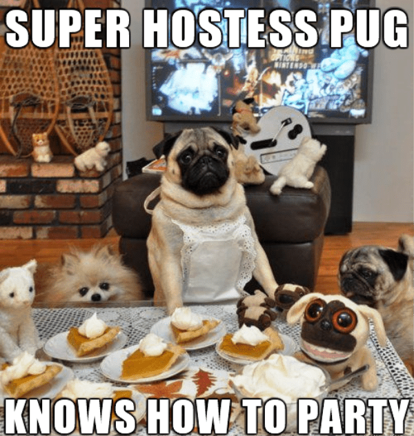 Super Hostess Pug