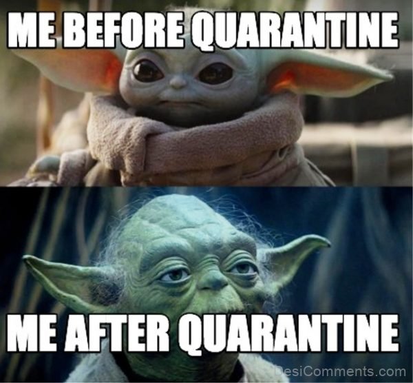Me Before And After Quarantine