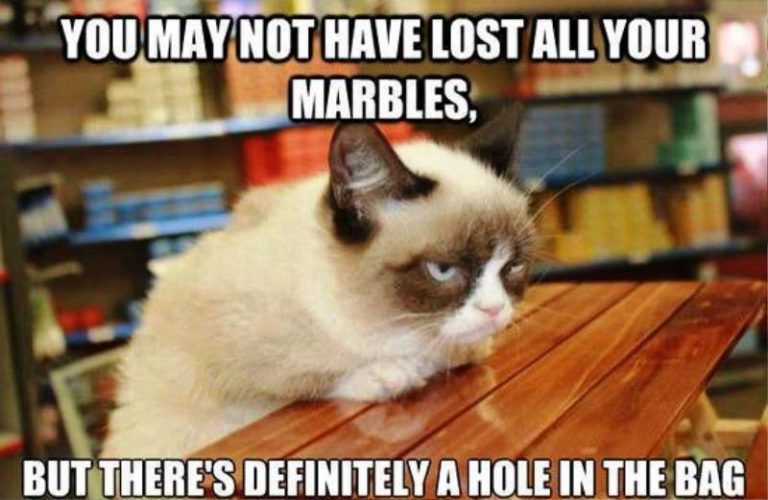 50 Most Funniest Grumpy Cat Memes - Funny Pictures – DesiComments.com