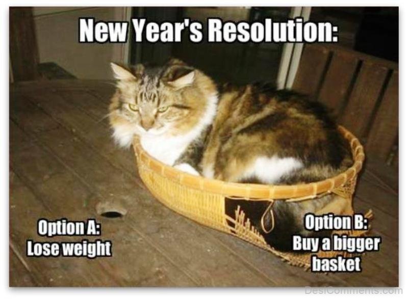 50 Fantastic New Year Memes Funny Pictures