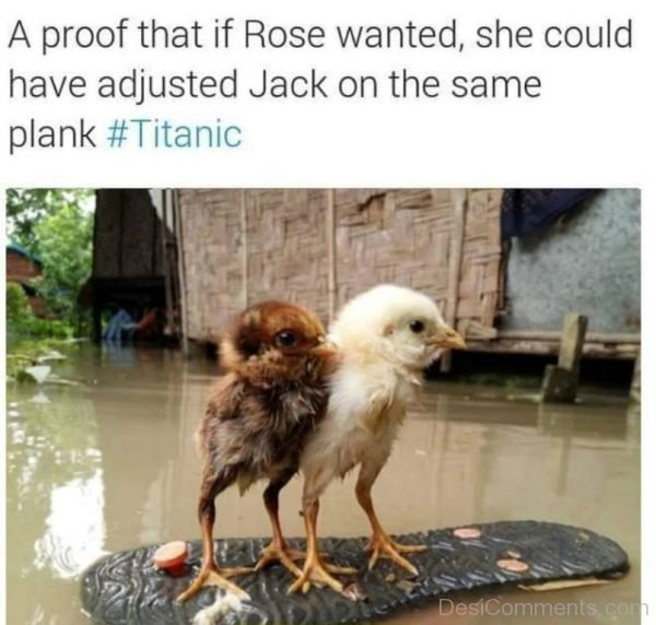 A Proof That If Rose Wanted