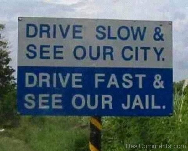 Drive Slow And See Our City