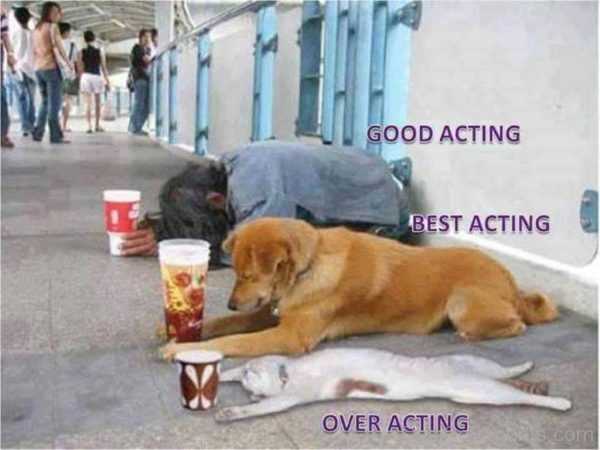 Good Vs Best Vs Over Acting-DC056