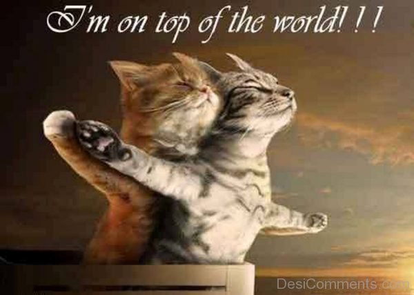 I’m On Top Of The World