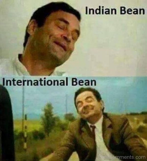 Indian Bean Vs International Bean