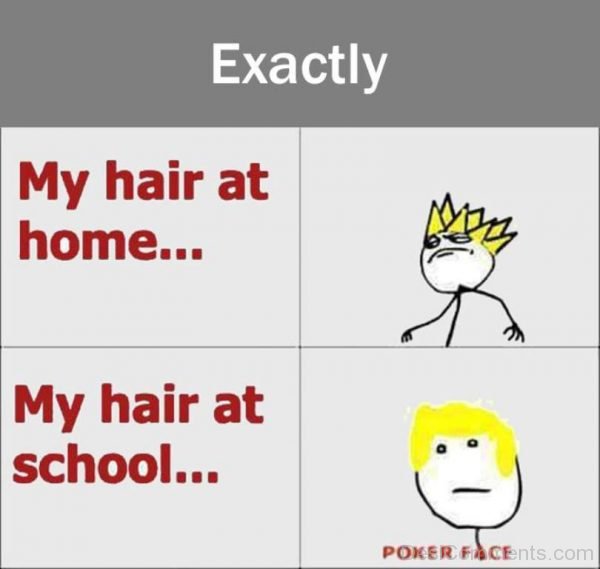 My Hair At Home And School
