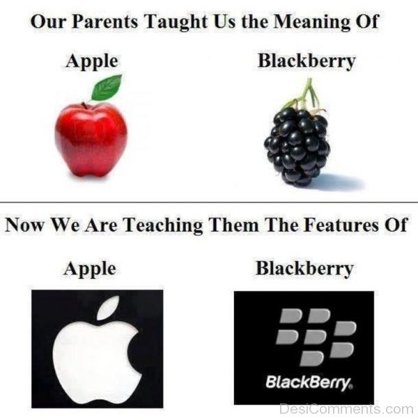 Our Parents Taught Us The Meaning Of