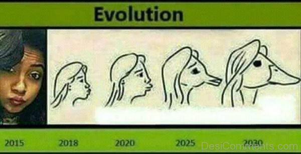 Pout Evolution