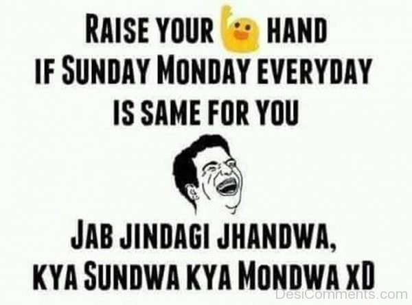 Raise Your Hand If Sunday Monday