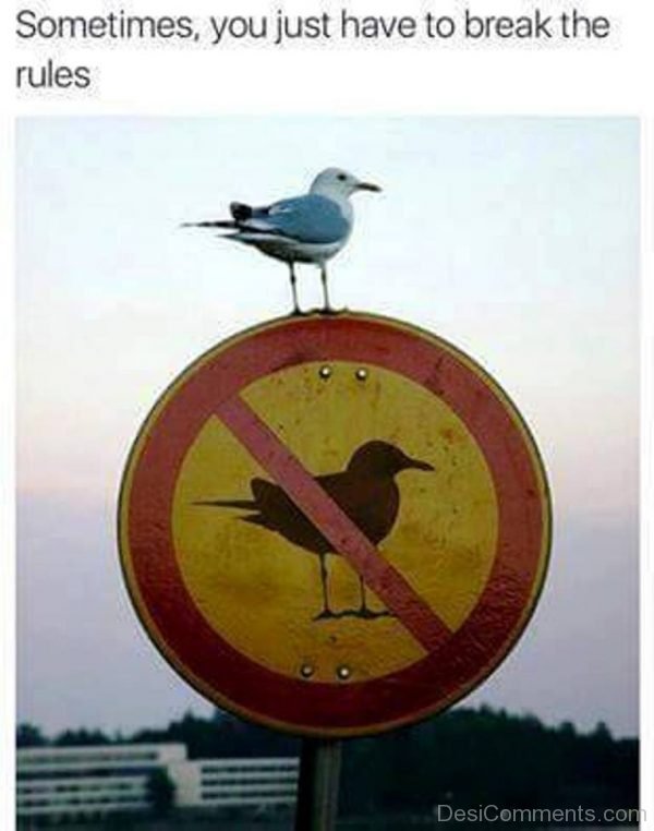 Sometimes You Have To Break The Rules