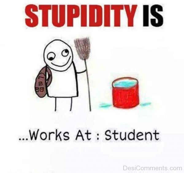 Stupidity Is