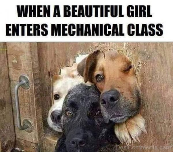 When A Beautiful Enters Mechanical Class