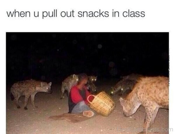 When You Pull Out Snacks In Class-DC130