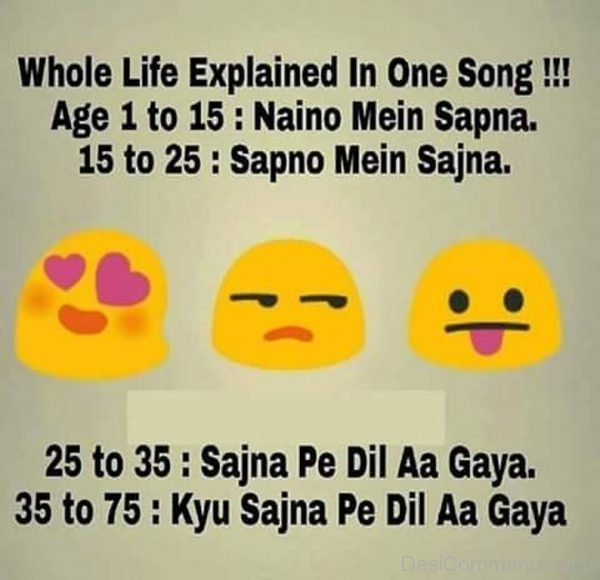 Whole Life Explained In One Song