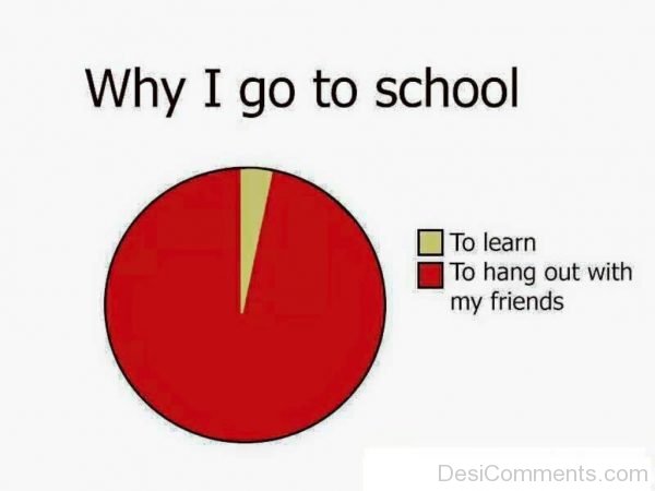 Why I Go To School