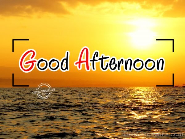 Good Afternoon - Desi Comments