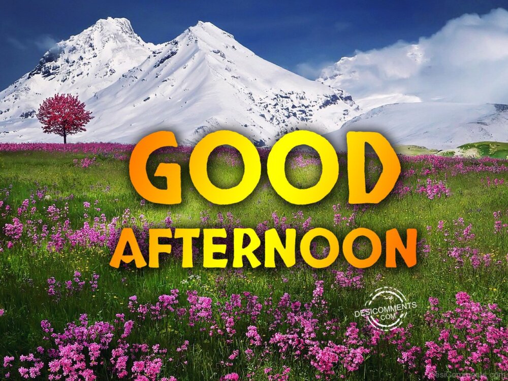 Good Afternoon – Have A Bless Day - DesiComments.com