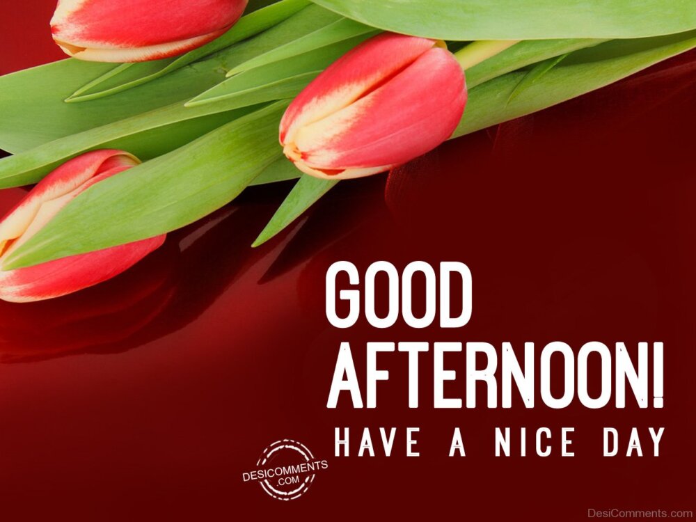 Good Afternoon – Have A Nice Day - Desi Comments
