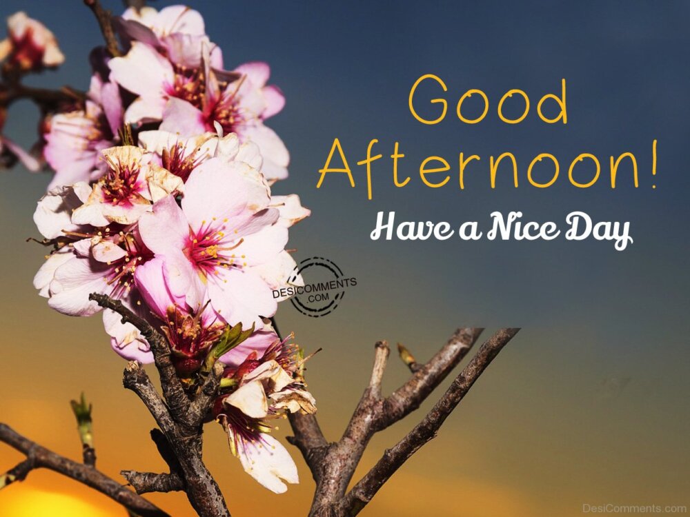 Good Afternoon Have A Nice Day - Desi Comments