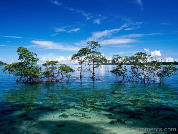 Amazing Beach