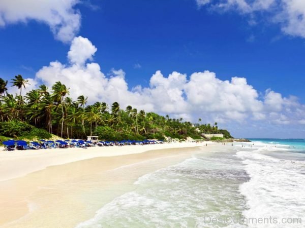 Crane Beach Barbados