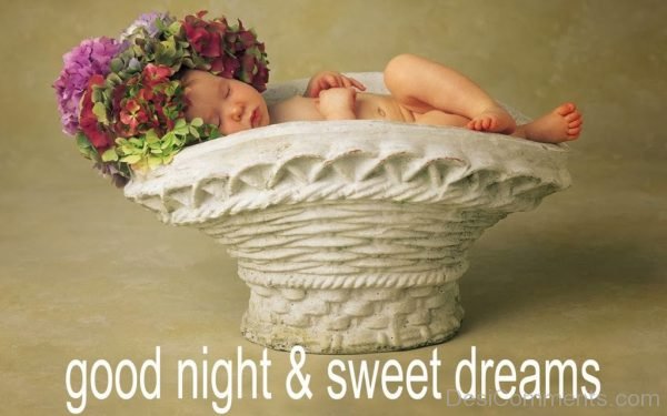 Good Night & Sweet Dreams