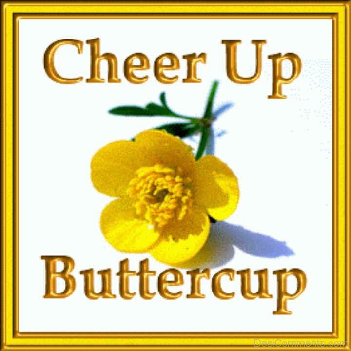 Cheer Up Pictures Images Graphics