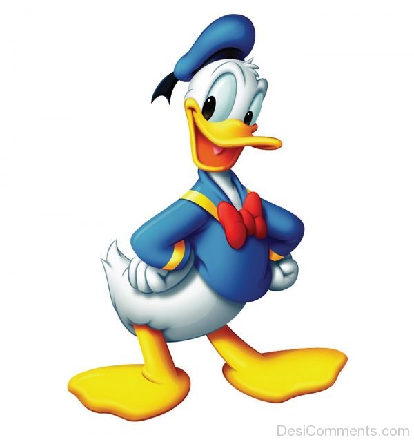Donald Duck Picture - DesiComments.com