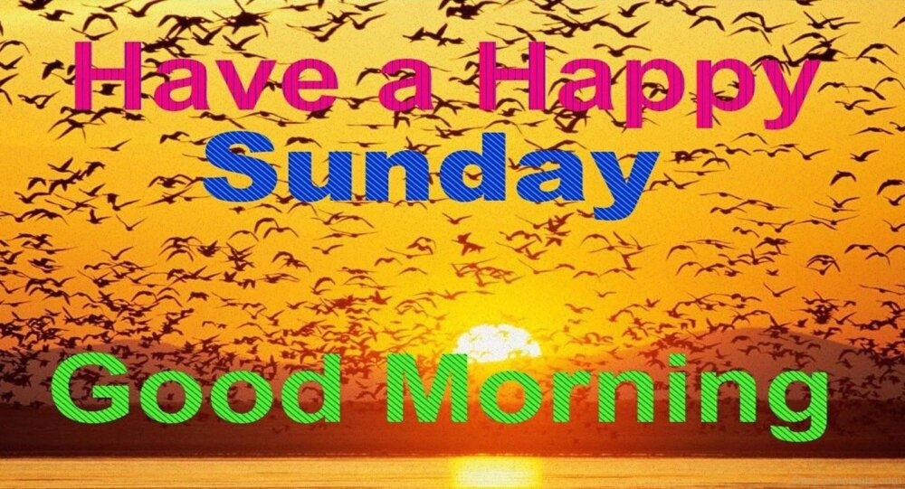 Have A Happy Sunday Good Morning Desicomments Com