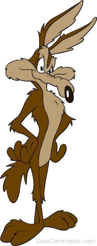 60+ Wile E. Coyote Images, Pictures, Photos | Desi Comments