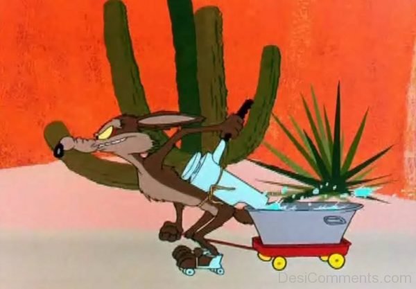 60+ Wile E. Coyote Images, Pictures, Photos - Page 2