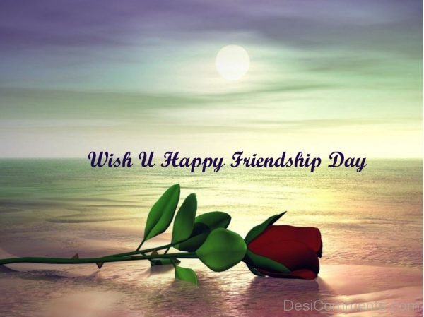 Wish You Happy Friendship Day