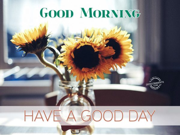 Good Morning- Have A Wonderful Day - Desi Comments