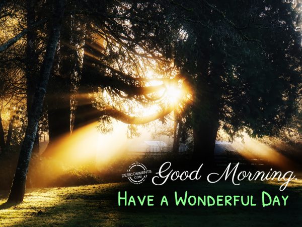 Good Morning- Have A Wonderful Day