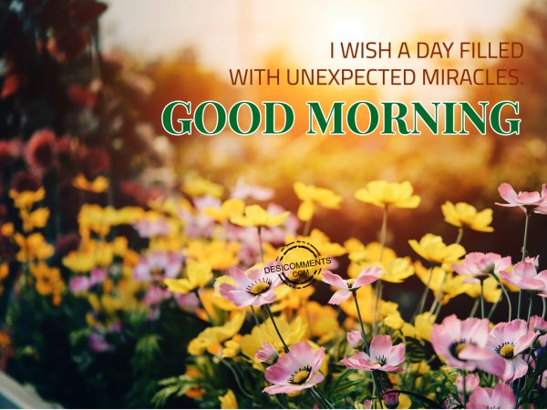 I Wish A Day Filled With Unexpected Miracles – Good Morning - Desi Comments