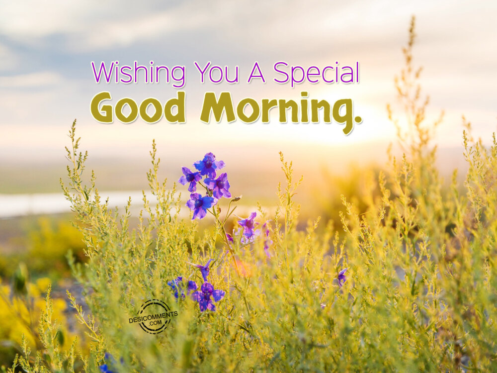 Wishing You A Special Good Morning DesiComments