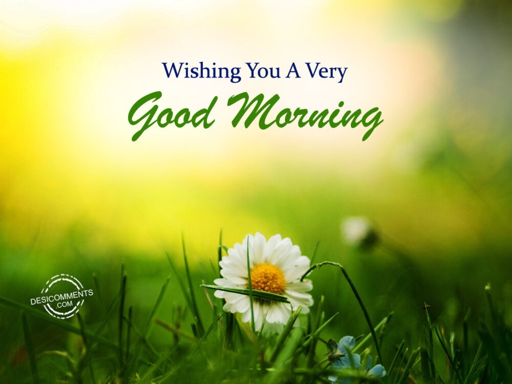 Wishing You A Very Good Morning DesiComments