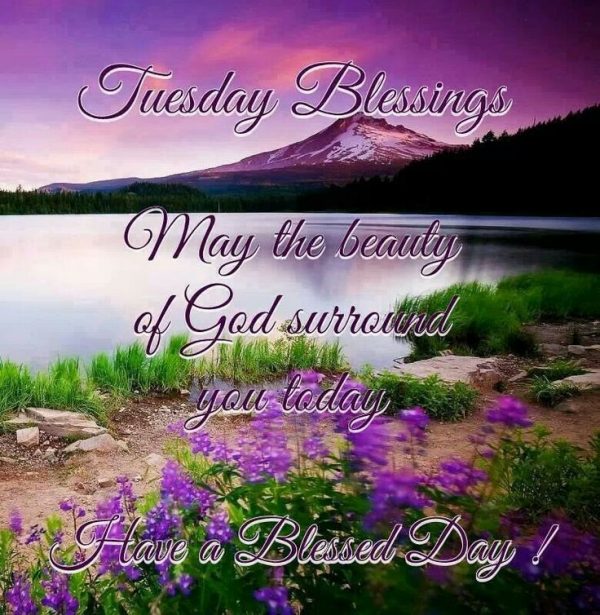 Have A Blessed Day !