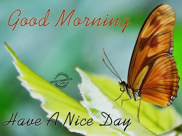 Have A Nice Day Good Morning