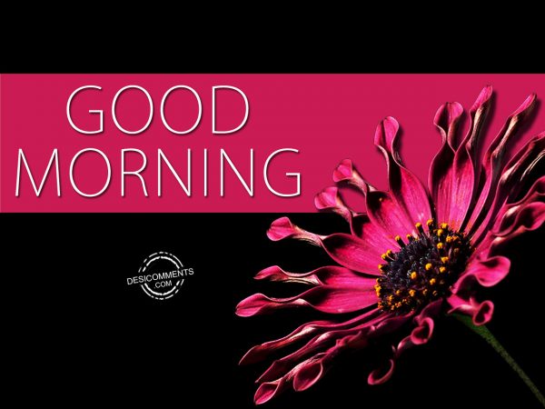 Image of Good Morning - DesiComments.com