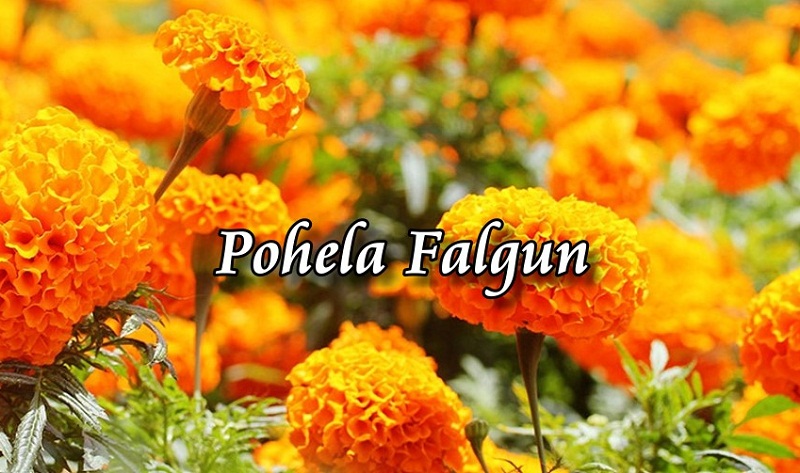 3 Pohela Falgun Pictures, Images, Photos