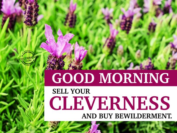 Sell Your Celeverness And Buy Bewilderment