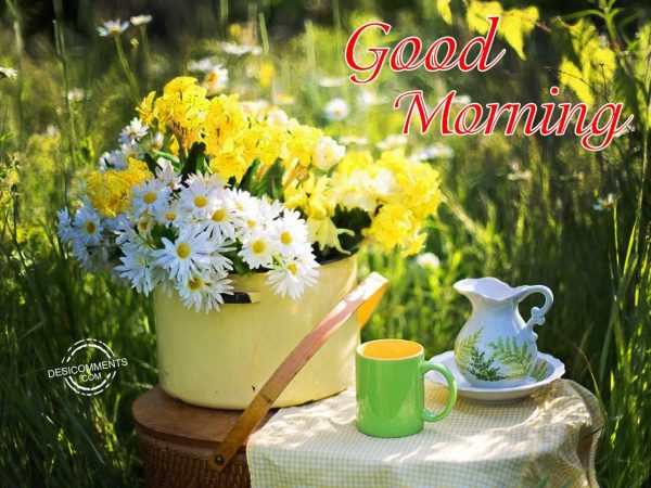 Good Morning – Have A Amazing Day - Desi Comments