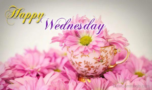 Happy Wednesday With Pink Flowers