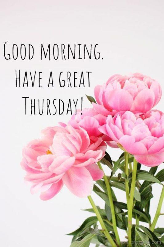 Have A Great Thursday