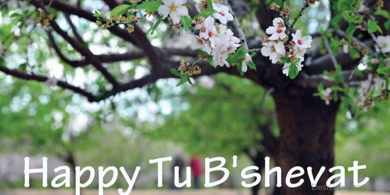 Happy Tu B’Shevat To You - DesiComments.com